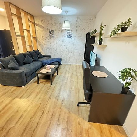 Glam Apartments Lipatti Near Iulius Mall And City Center Тимишоара Экстерьер фото